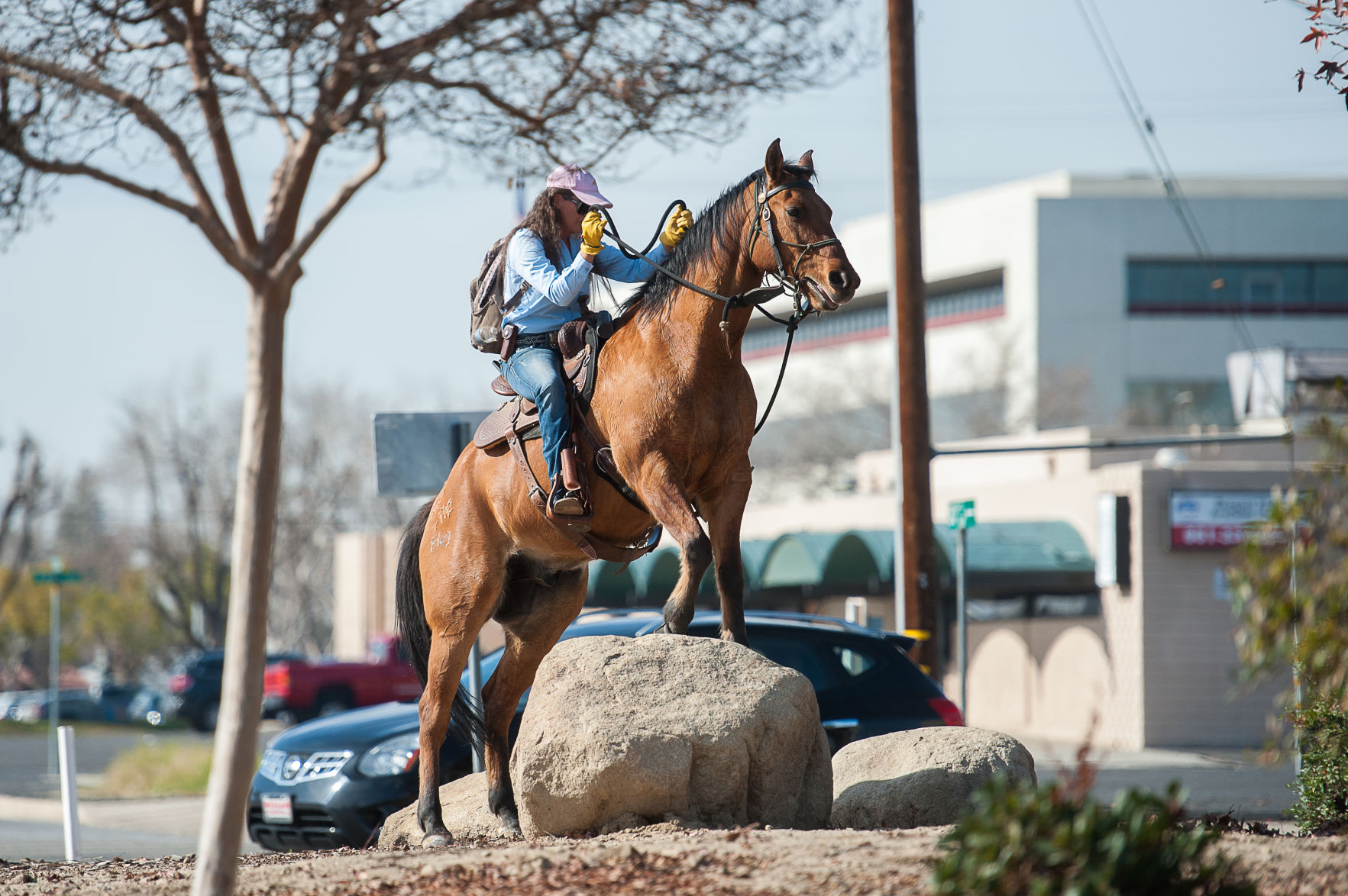Horse on Garces Circle 2